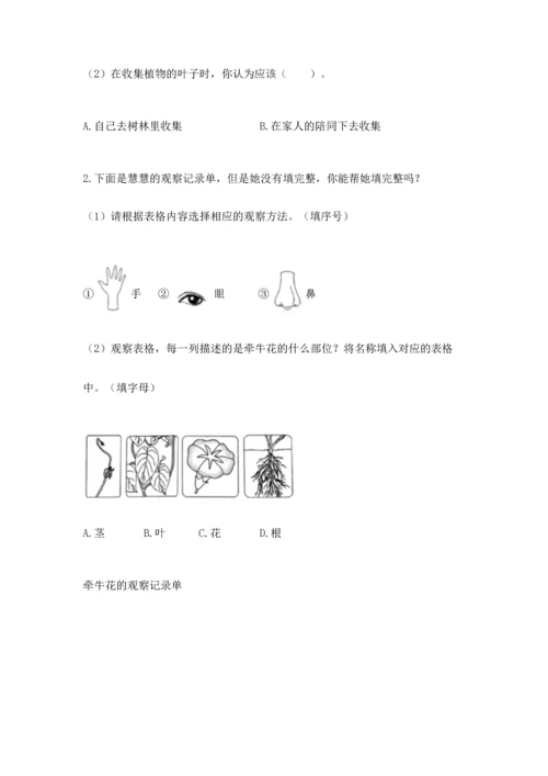 教科版科学一年级上册第一单元《植物》测试卷含完整答案【夺冠系列】.docx