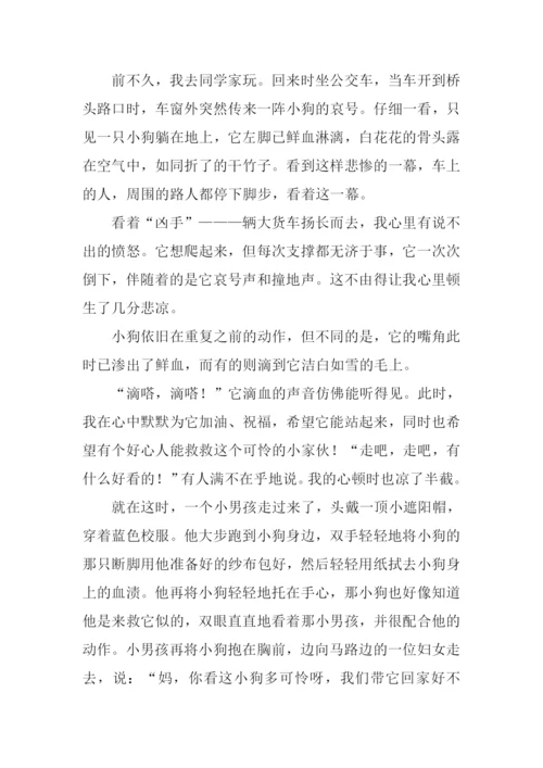 发现友善作文.docx