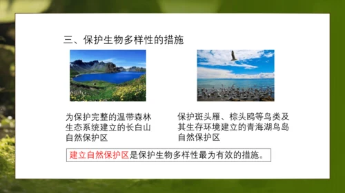 人教版生物八年级上册6.3《保护生物的多样性》课件(共27张PPT)