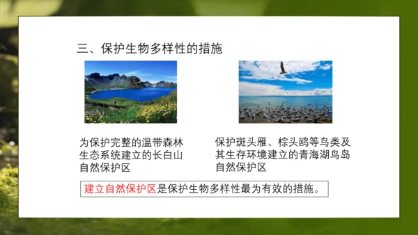 人教版生物八年级上册6.3《保护生物的多样性》课件(共27张PPT)