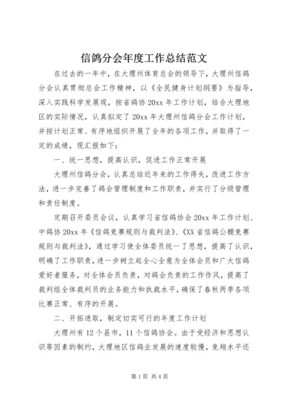 信鸽分会年度工作总结范文.docx