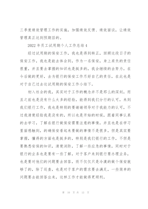 2022年员工试用期个人工作总结范文.docx