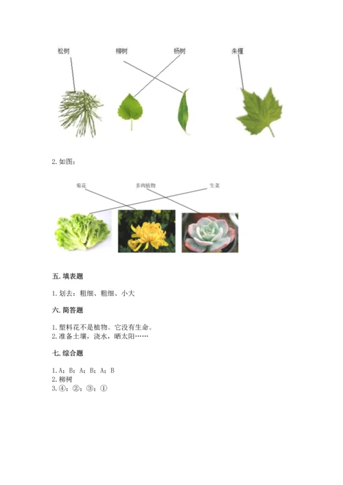 教科版科学一年级上册第一单元《植物》测试卷（b卷）.docx