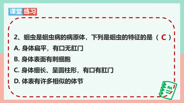 5.1.2线形动物和环节动物课件-人教版生物八年级上册(共47张PPT)