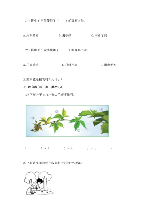 教科版科学一年级上册第一单元《植物》测试卷含答案（模拟题）.docx