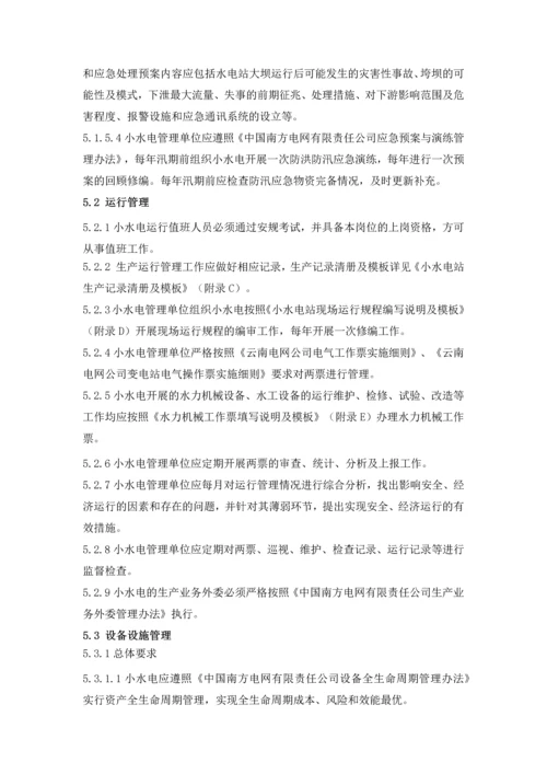 电网有限责任公司小水电站安全生产管理业务指导书.docx