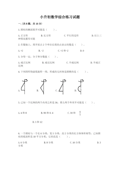 小升初数学综合练习试题（考点精练）.docx