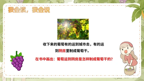 部编版语文二年级上册第十一课《葡萄沟》课件