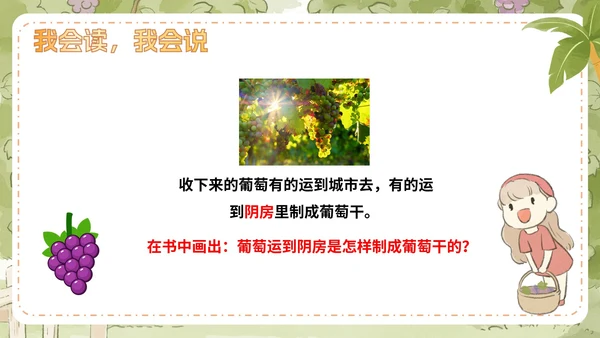 部编版语文二年级上册第十一课《葡萄沟》课件