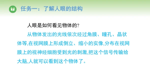 2024-2025学年人教版物理八年级上册5.4 眼睛和眼镜课件（24页ppt）