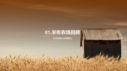 农场运营半年回顾