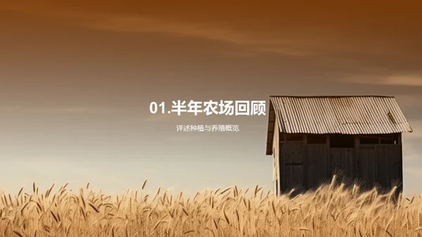 农场运营半年回顾