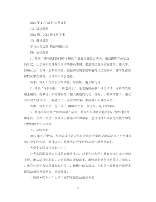 精编之大学生实践执行计划书.docx