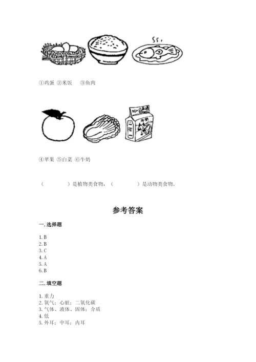 教科版四年级上册科学期末测试卷【考点精练】.docx