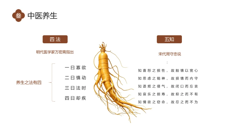 世界传统医药日介绍中医养生 中医调理 传承传统中医文化PPT