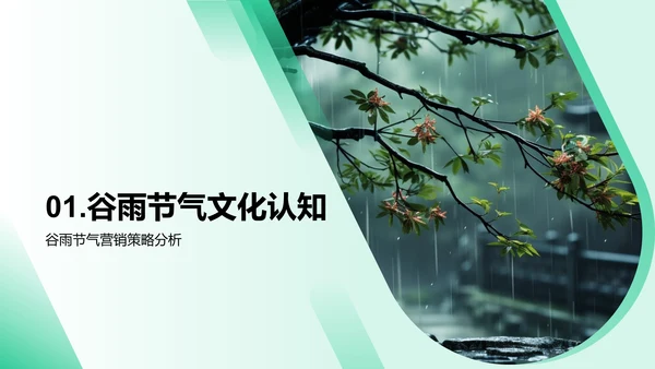 谷雨营销策略解析