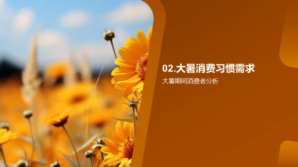 大暑商机与营销策略