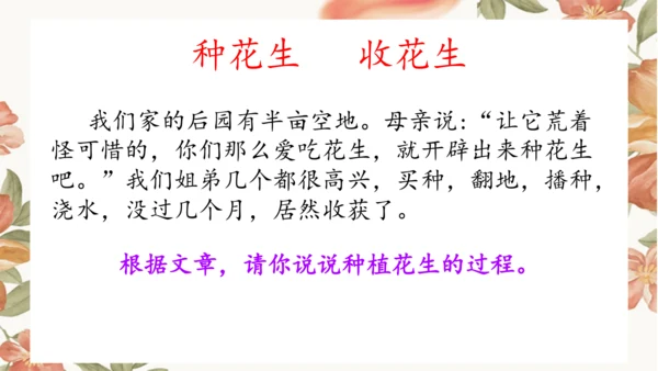 2 落花生 课件