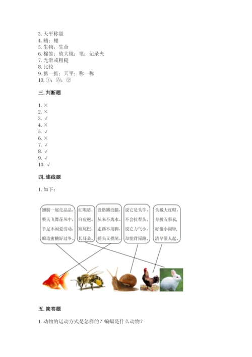 教科版一年级下册科学期末测试卷及1套完整答案.docx