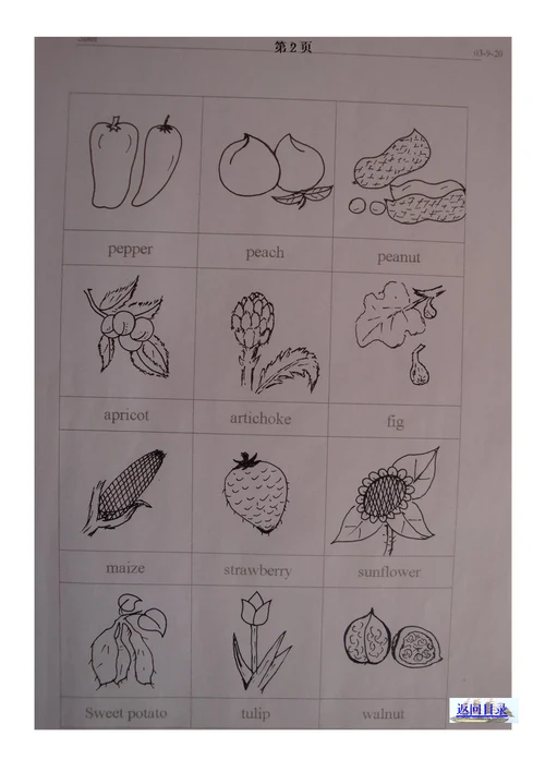 小学英语课堂教学简笔画集锦