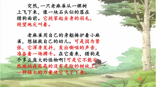 第16课《麻雀》课件