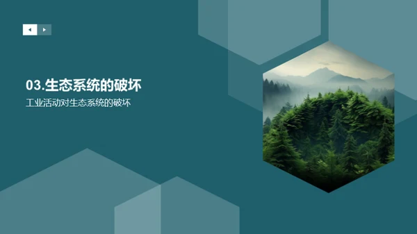 生态守护：我们的责任