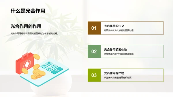 植物成长揭秘