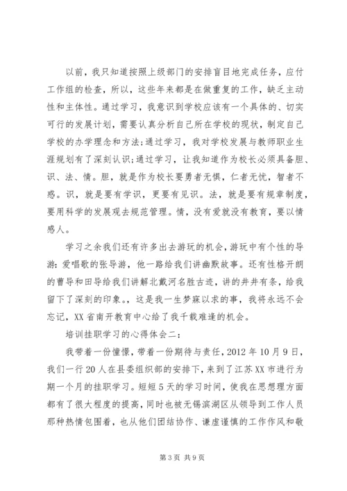 培训挂职学习的心得体会3篇.docx