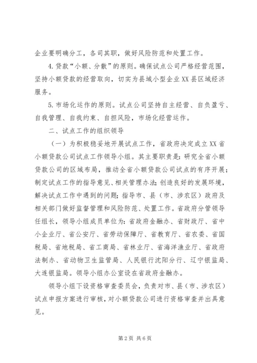 公司试点工作指导意见.docx