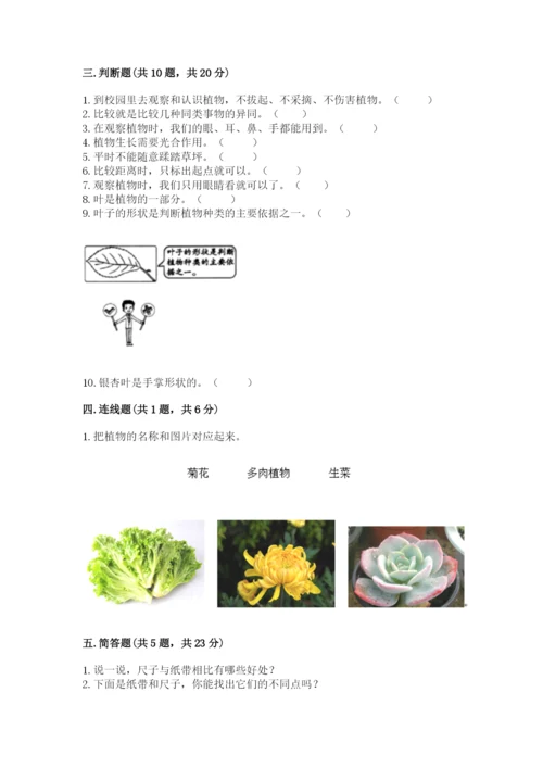 教科版一年级上册科学期末测试卷带解析答案.docx