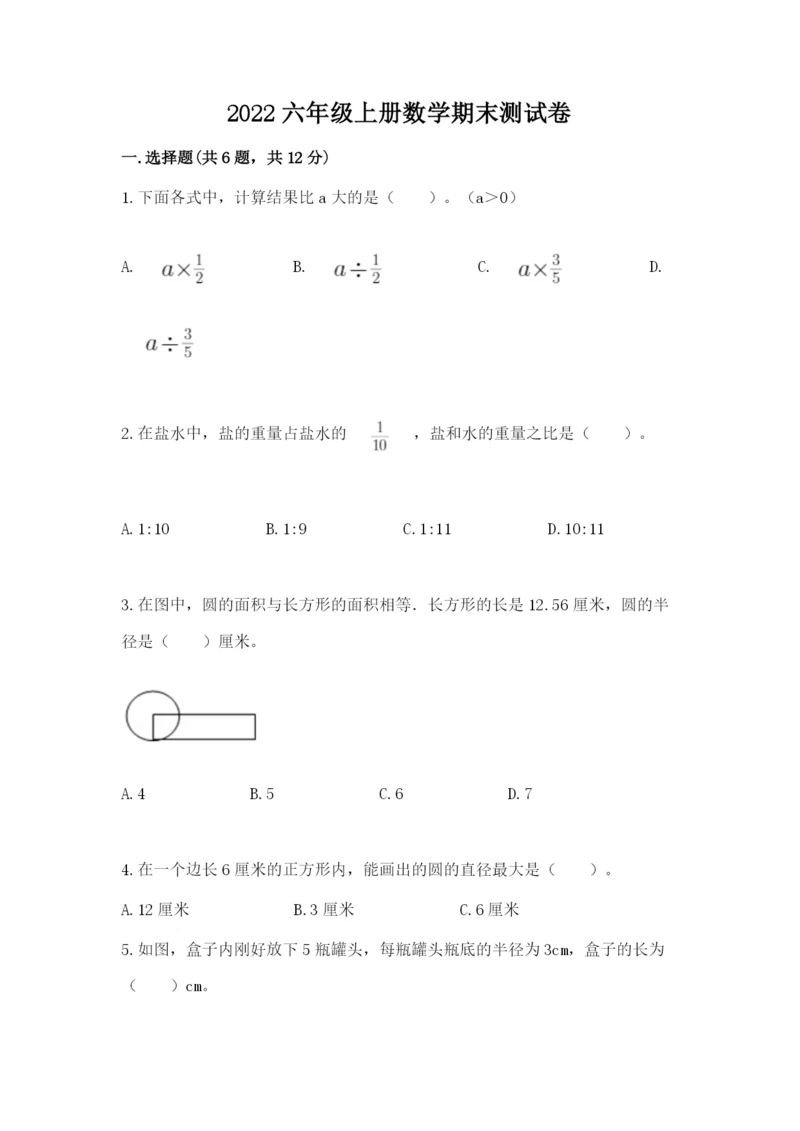 2022六年级上册数学期末测试卷（典优）word版.docx