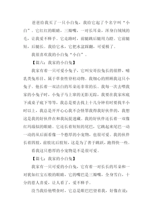 小白兔作文150字.docx