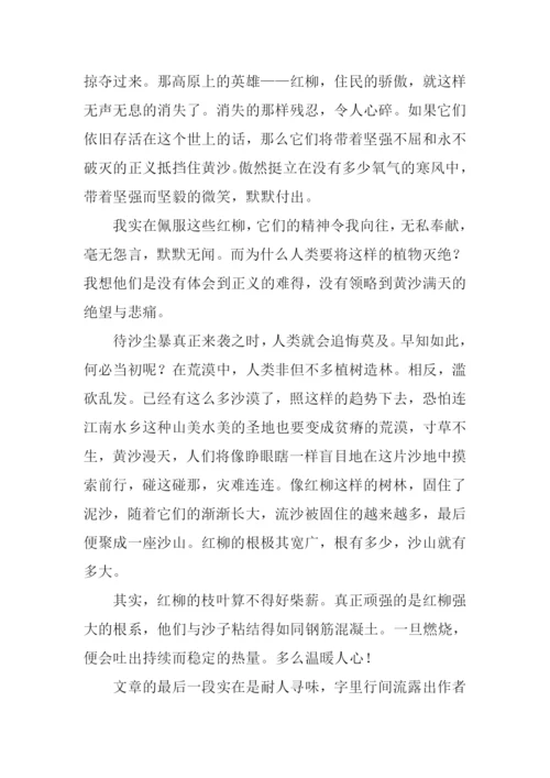 离太阳最近的树读后感1000字.docx