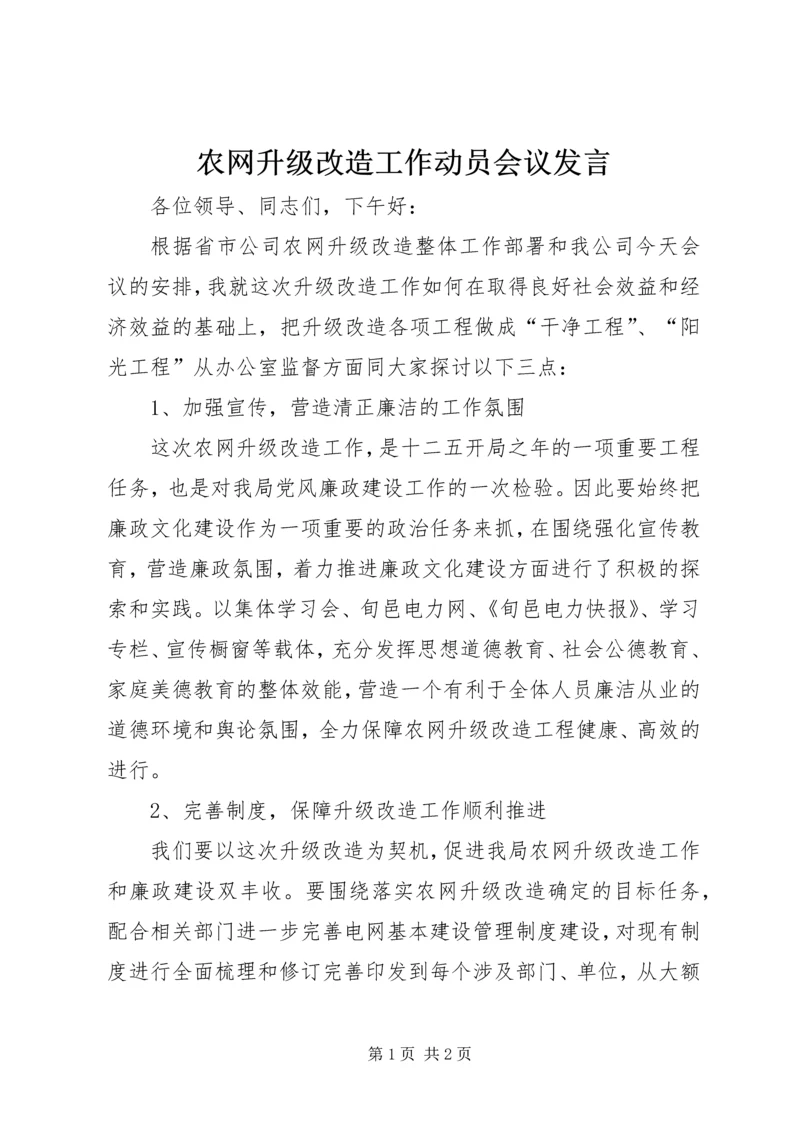 农网升级改造工作动员会议发言.docx