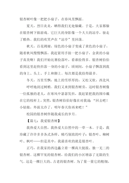 有关银杏树的作文.docx
