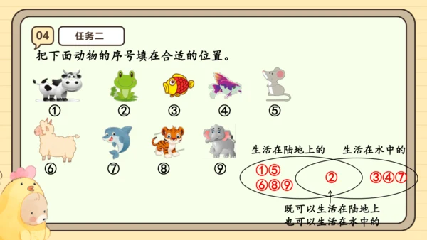 人教版三年级上册9.1 数学广角——集合课件(共25张PPT)