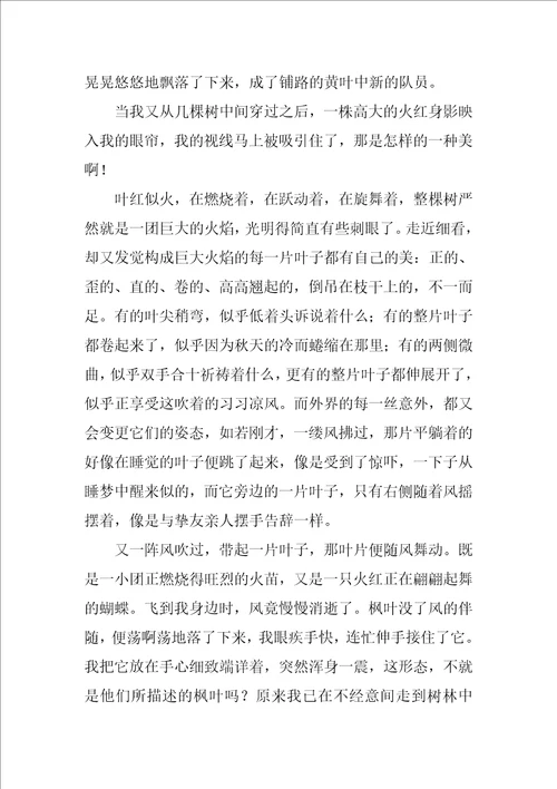 枫叶高中作文