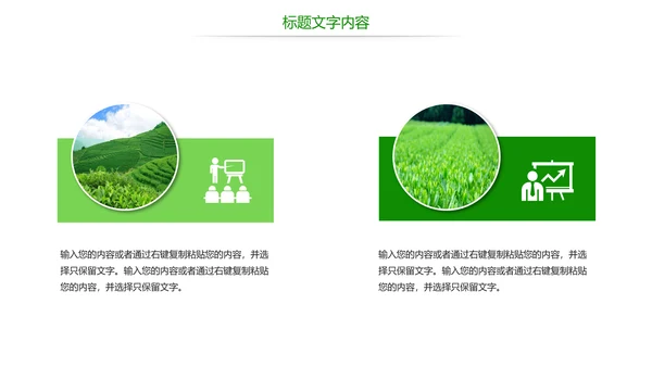 绿色唯美茶园艺术品茶文化茶园PPT模板