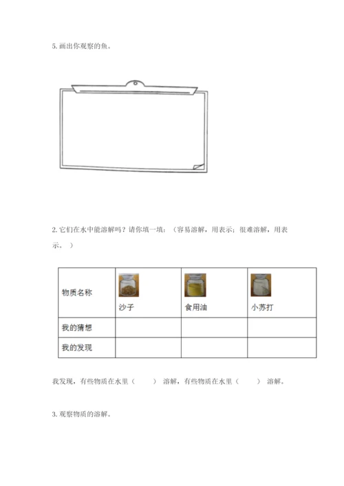 教科版一年级下册科学期末测试卷含答案（培优b卷）.docx