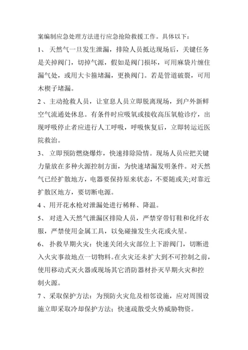 天然气管道保护综合项目工程应急专项预案.docx