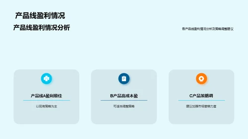 盈利分析与战略调整