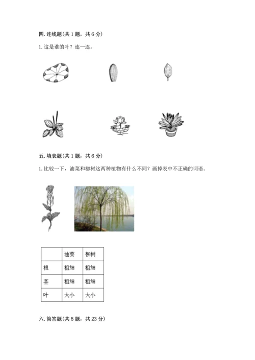 教科版科学一年级上册期末测试卷【名师推荐】.docx