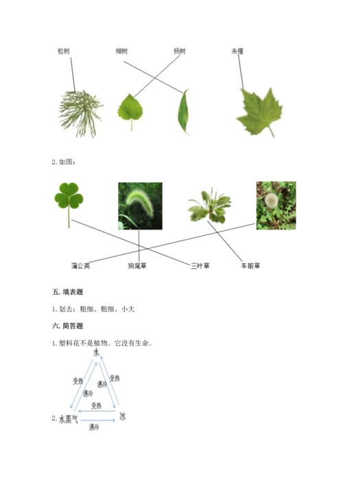 教科版科学一年级上册第一单元《植物》测试卷【夺冠系列】.docx