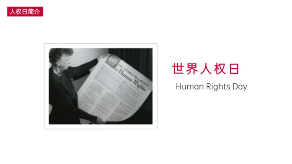 世界人权日通用PPT模板