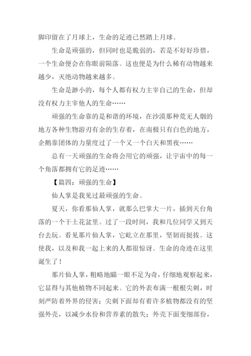 顽强的生命作文500字.docx