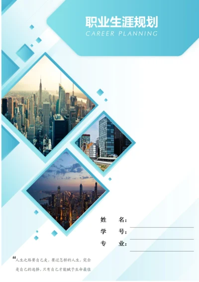 23页10000字金融科技应用专业职业生涯规划.docx