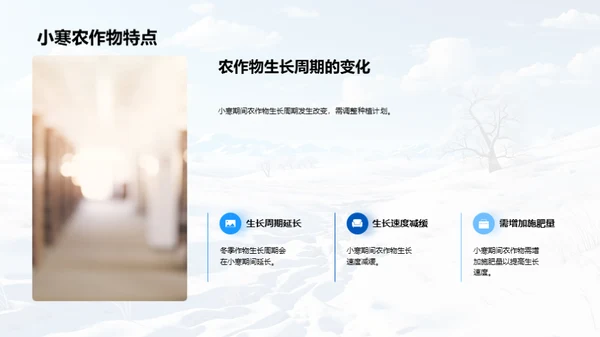 小寒与农业生产策略