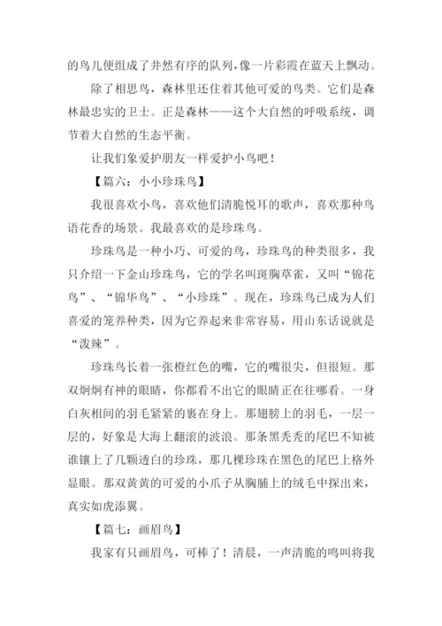 写一种鸟的作文.docx
