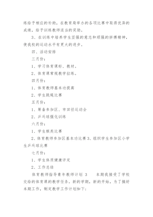 体育教师指导青年教师计划.docx