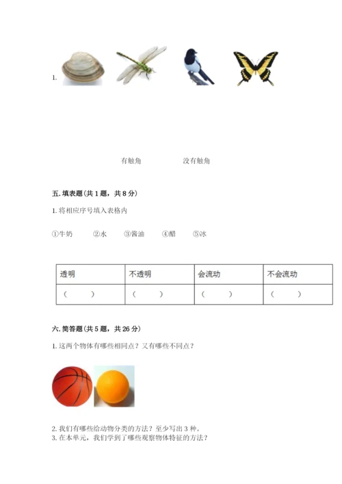 教科版一年级下册科学期末测试卷精品【网校专用】.docx